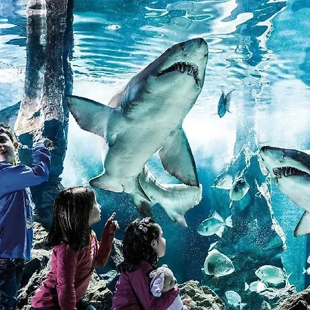 Apartment Apartament Design & Comfort In Centro Genoa